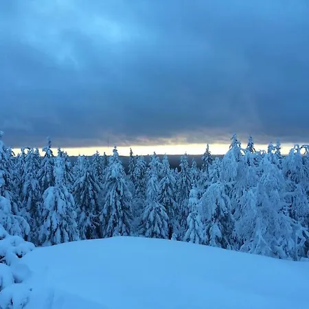 Petra In Koli Kolinkylä