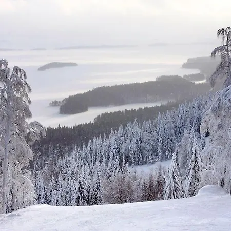 Petra In Koli *