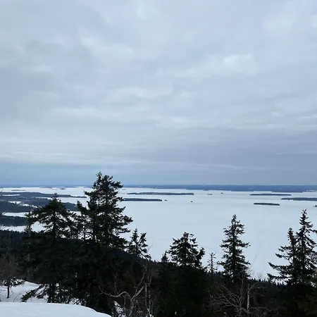 Petra In Koli Hébergement de vacances Kolinkylä