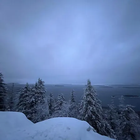 Petra In Koli *