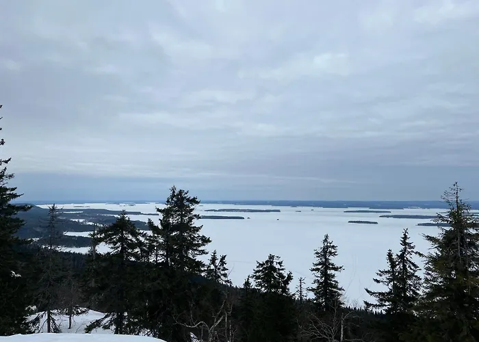 Petra In Koli بيت للعطل Kolinkylä